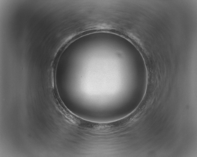 X0000071951171200607141451