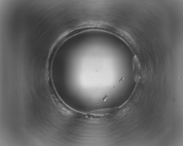 X0000071951172200607141451