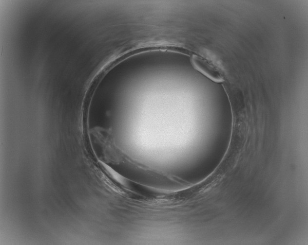 X0000071951173200607141451