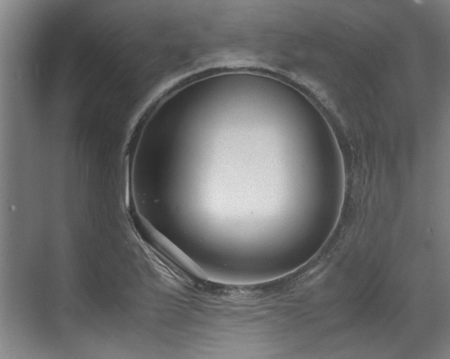 X0000071951175200607141451