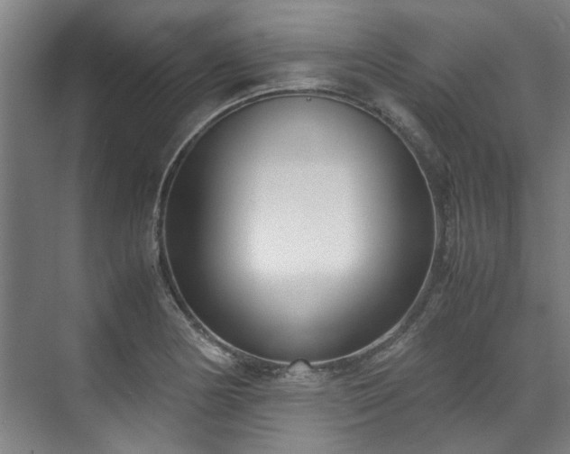 X0000071951178200607141451