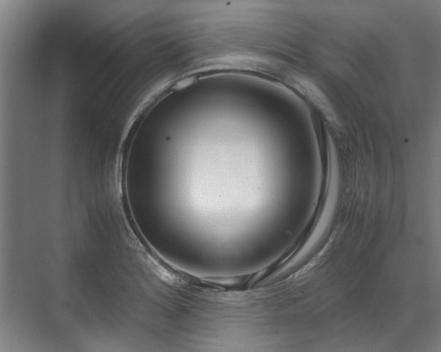 X0000071951180200607141451