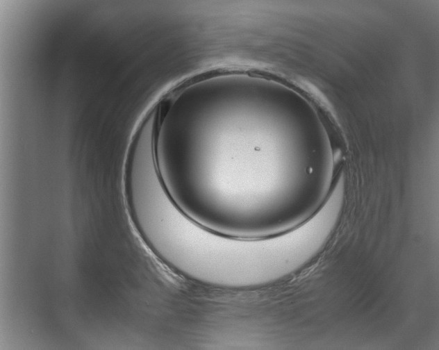 X0000071951183200607141451