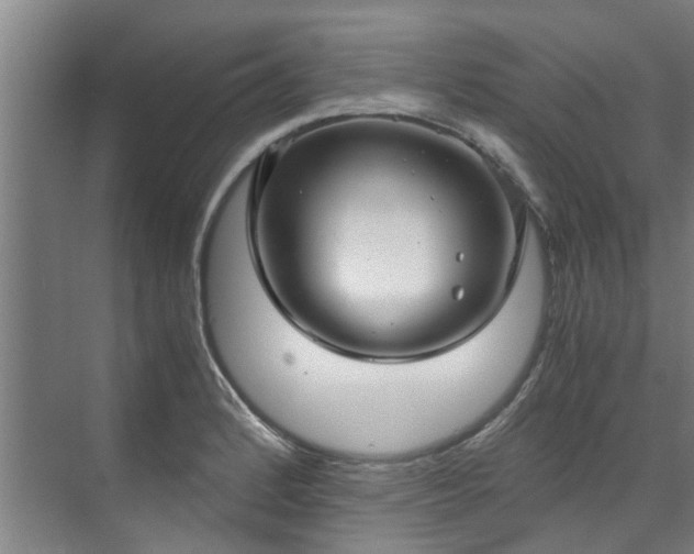 X0000071951184200607141451