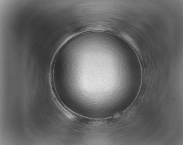 X0000071951187200607141451