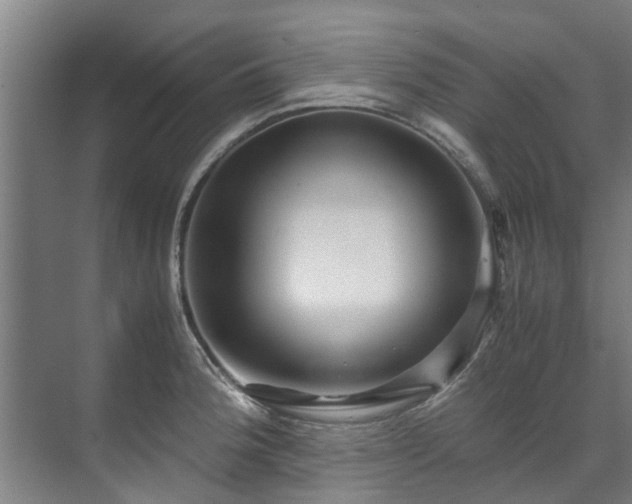 X0000071951188200607141451