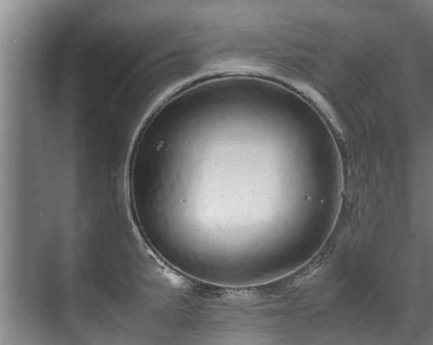 X0000071951191200607141451