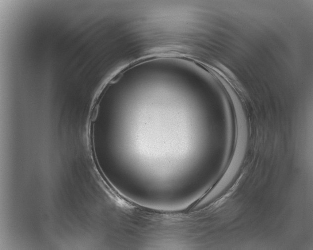 X0000071951196200607141451