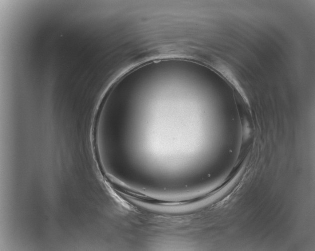 X0000071951197200607141451