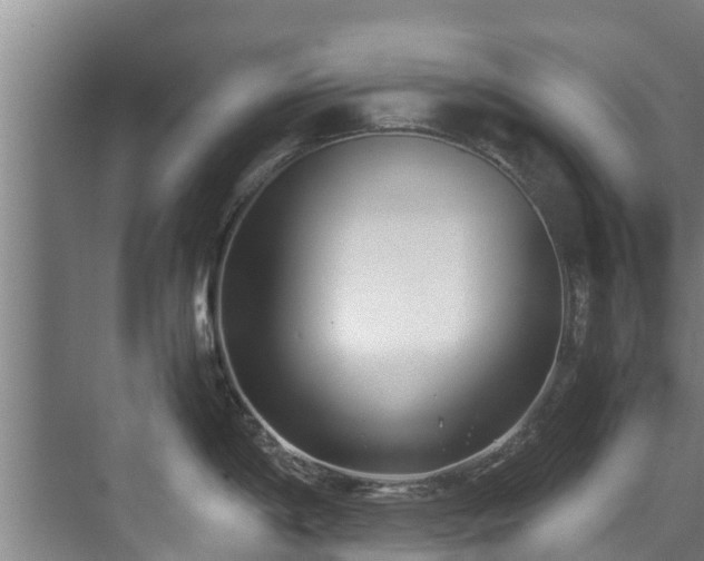 X0000071951198200607141451