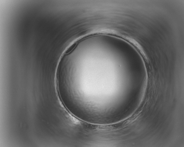 X0000071951199200607141451