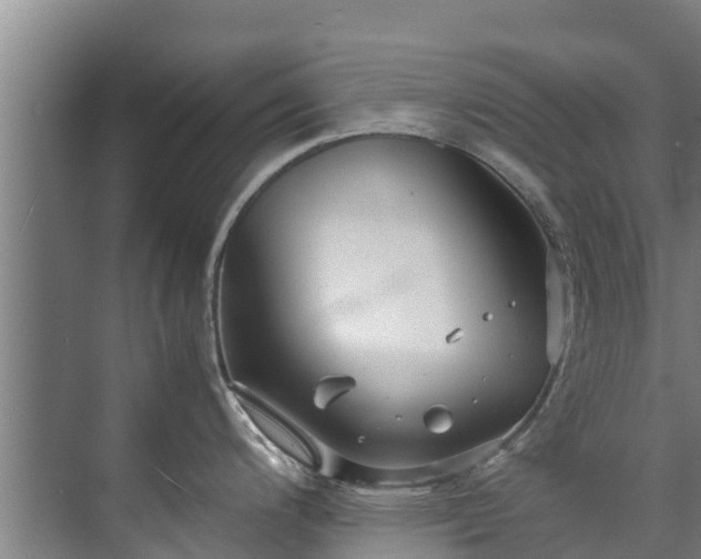 X0000071951200200607141451