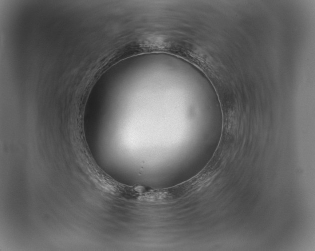 X0000071951201200607141450