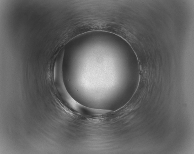 X0000071951202200607141450