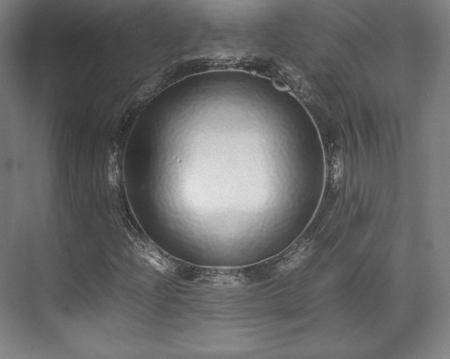 X0000071951204200607141450