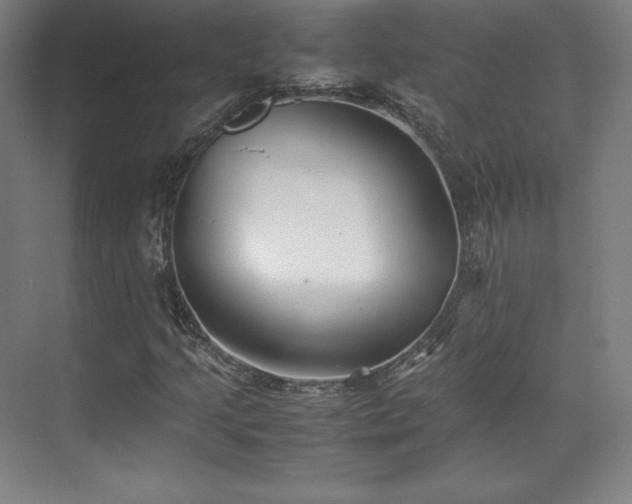 X0000071951205200607141450