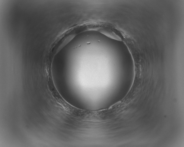 X0000071951206200607141450