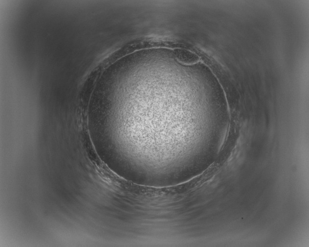 X0000071951207200607141450