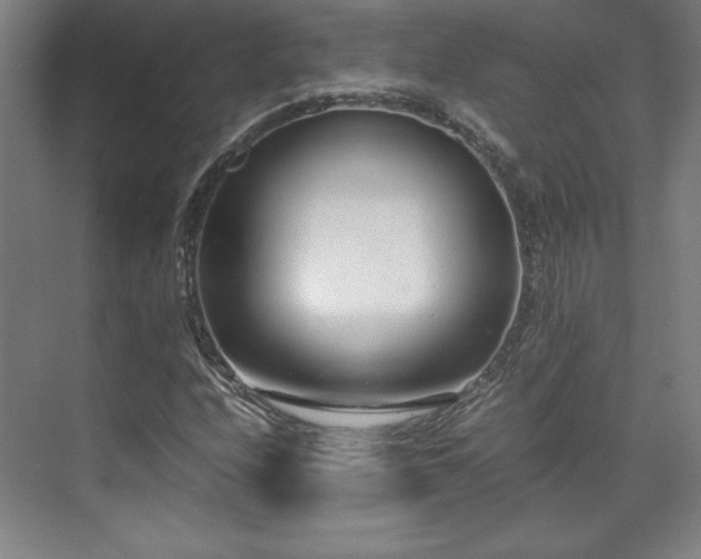 X0000071951208200607141450