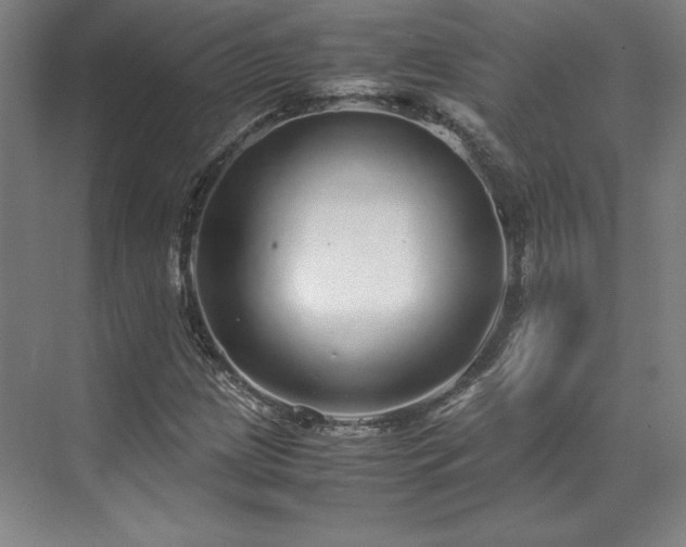 X0000071951209200607141450