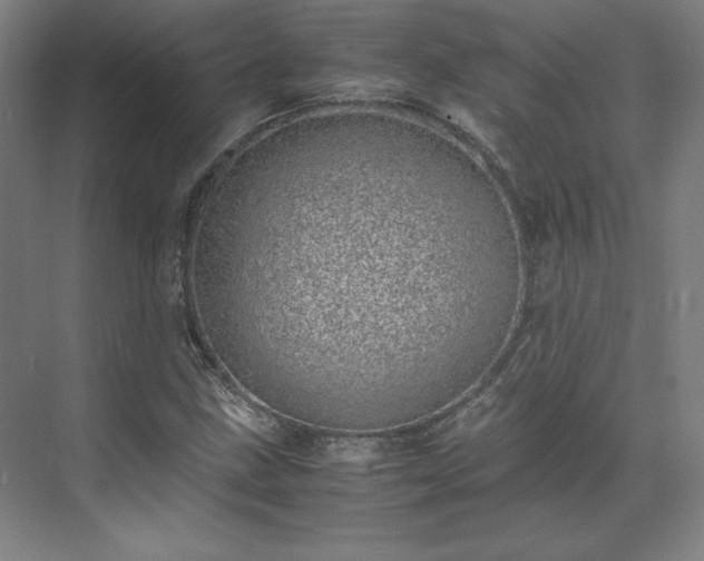 X0000071951211200607141450