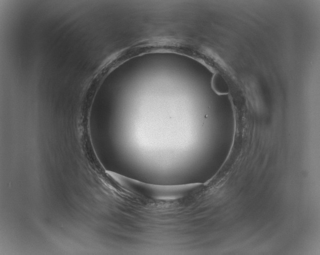 X0000071951213200607141450