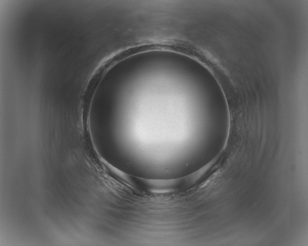 X0000071951214200607141450