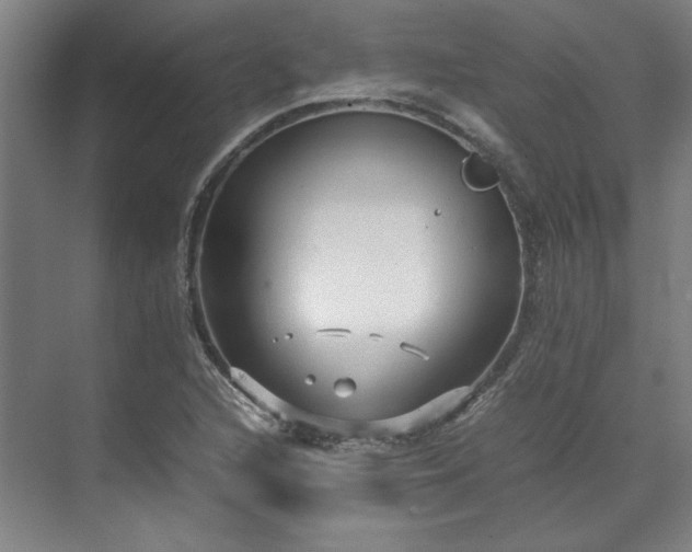 X0000071951216200607141450