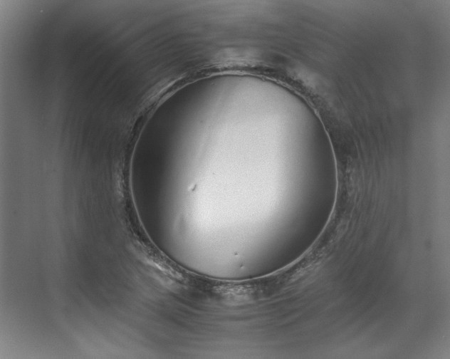 X0000071951217200607141450