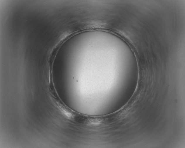 X0000071951219200607141450