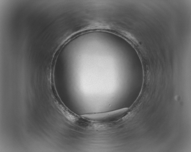 X0000071951220200607141450