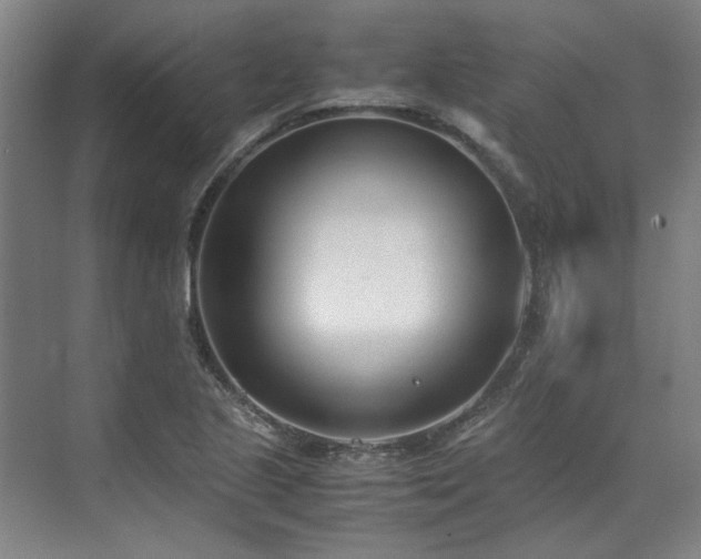 X0000071951221200607141450