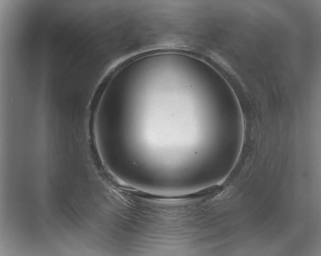 X0000071951222200607141450