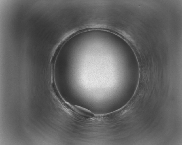 X0000071951223200607141450