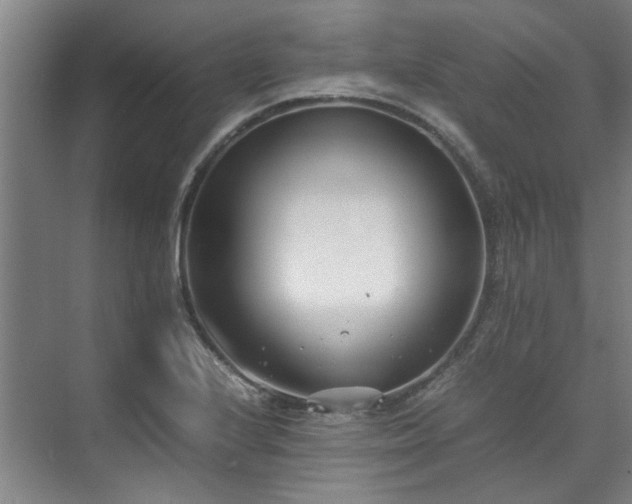 X0000071951224200607141450