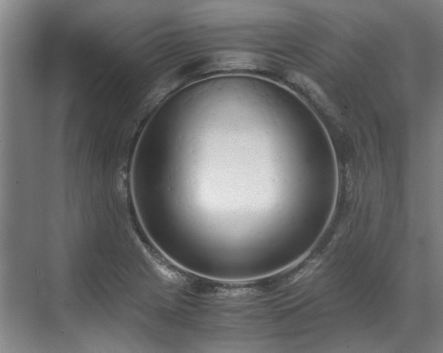 X0000071951225200607141450