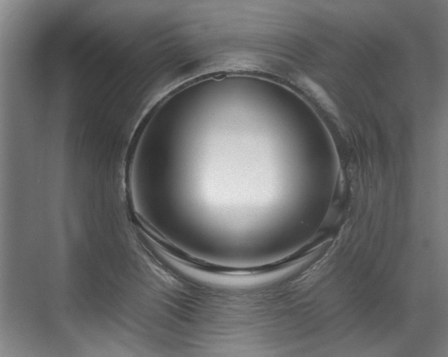 X0000071951226200607141450