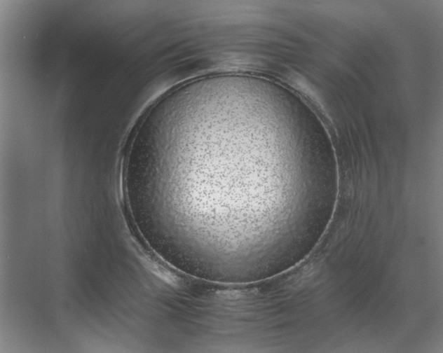 X0000071951227200607141450