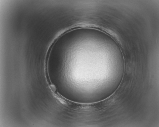 X0000071951231200607141450