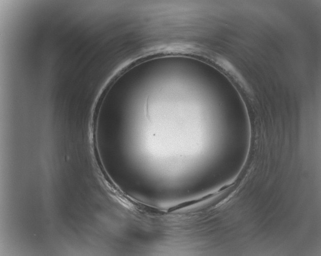 X0000071951232200607141450