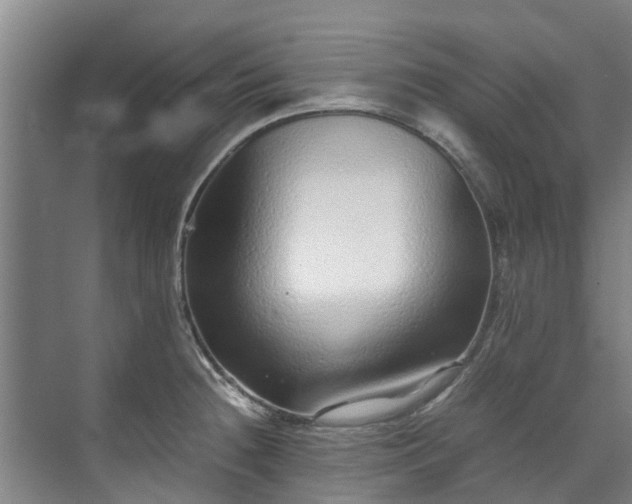 X0000071951236200607141450