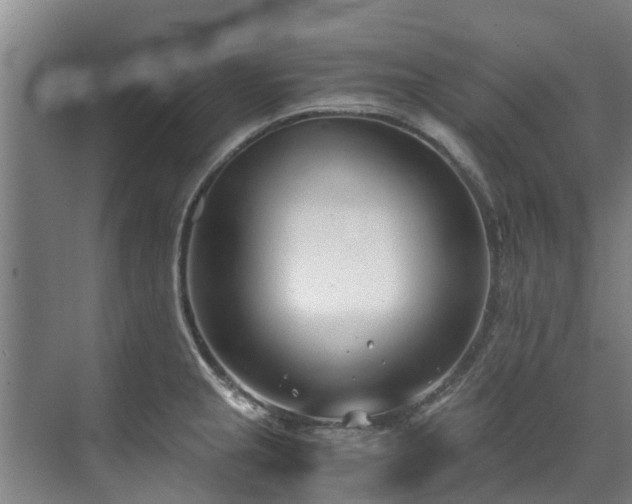 X0000071951237200607141450