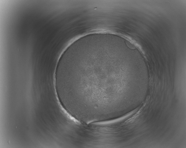 X0000071951239200607141451