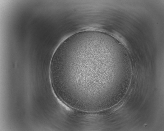 X0000071951247200607141451