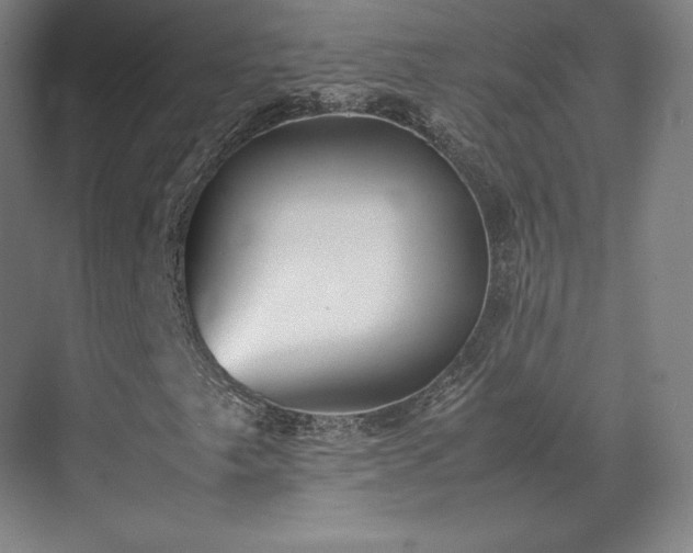 X0000071951249200607141450