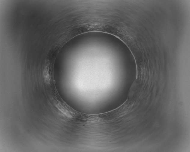 X0000071951250200607141450