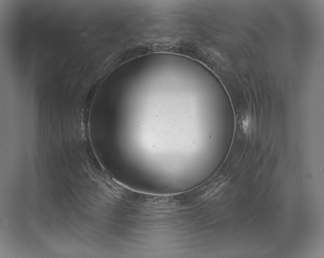 X0000071951252200607141450