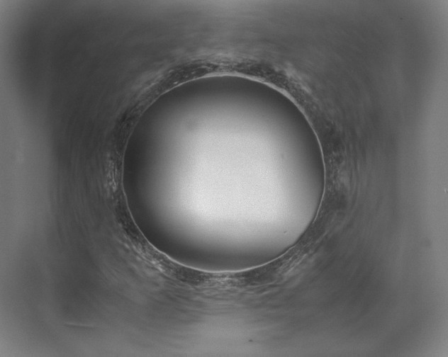 X0000071951253200607141450