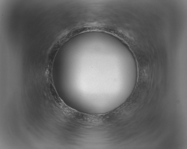 X0000071951254200607141450