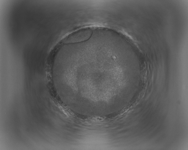 X0000071951255200607141450